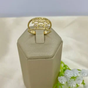 ANILLO 2 HIJOS
